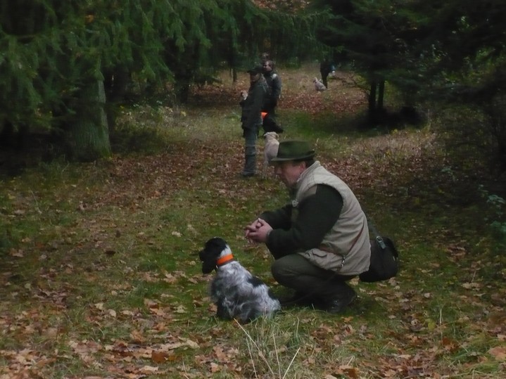 Konopiste_8.11.2009 (2).JPG